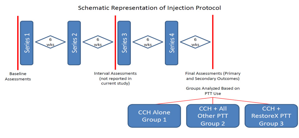 Schematic Representation of Injection Protocol